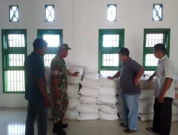 Korem 012/TU : Babinsa Koramil 03/Setia Bakti Dampingi Penyaluran Benih Padi di Desa Padang