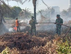 Panas Terik,Babinsa Posramil Kuala Pesisir Berjibaku Melawan Api