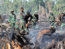 TNI dan Instansi Terkait Lanjutkan Pemadaman Karhutla, Fokus Penyekatan Titik Api ‎