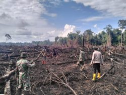 ‎Pasca Karhutla, TNI, Polri, BPBD dan BKSDA Turun Langsung Pastikan Wilayah Kondusif dan Bebas Titik Api