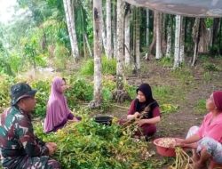Korem 012/TU : Komsos Kreatif Babinsa: Ibu-Ibu Diajak Manfaatkan Lahan Jadi Ladang Rezeki