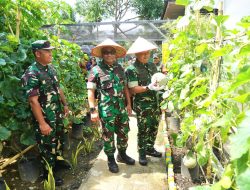 Kasdam IM Apresiasi Inovasi Dandim Abdya Sulap Pekarangan Jadi Lahan Ketahanan Pangan Terpadu