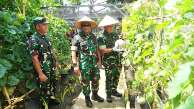 Kasdam IM Apresiasi Inovasi Dandim Abdya Sulap Pekarangan Jadi Lahan Ketahanan Pangan Terpadu