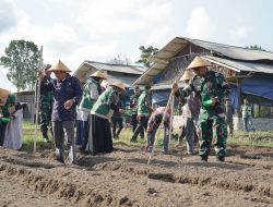 KOREM 012/TU KOLABORASI DENGAN PEMDA ACEH BARAT TANAM JAGUNG UNTUK KETAHANAN PANGAN