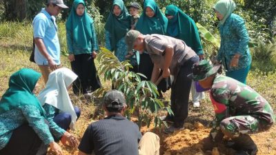 Sinergi Babinsa dan PKK, Tanam Durian Wujudkan Desa Hijau dan Produktif