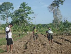 Korem 012/Teuku Umar Maksimalkan Lahan Ketahanan Pangan