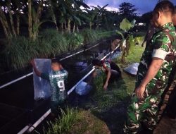 Korem 012/TU Optimalkan Lahan Produktif dengan Tebar 20.000 Benih Lele