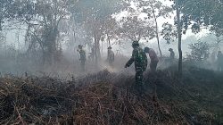 Korem 012/TU: Tersonel Kodim 0105/Aceh Barat Bersama Tim Gabungan Terus Berjuang Padamkan Karhutla di Kecamatan Bubon