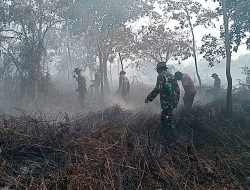 Korem 012/TU: Tersonel Kodim 0105/Aceh Barat Bersama Tim Gabungan Terus Berjuang Padamkan Karhutla di Kecamatan Bubon