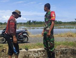 Jelang Musim Tanam Padi, Babinsa Koramil 10/Labuhan Haji Barat Pantau Irigasi dan Kesiapan Lahan Sawah