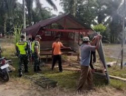 Babinsa Pos Ramil Tadu Raya Gotong Royong bersama warga di desa binaan