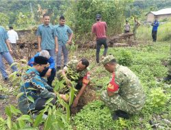 TNI Bersatu dengan Alam, Koramil Jajaran Kodim 0107/Aceh Selatan Tanam Pohon hingga Mangrove