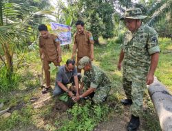 Hijaukan Alam, TNI dan Warga Tanam Puluhan Jenis Pohon di Desa Paya Dapur